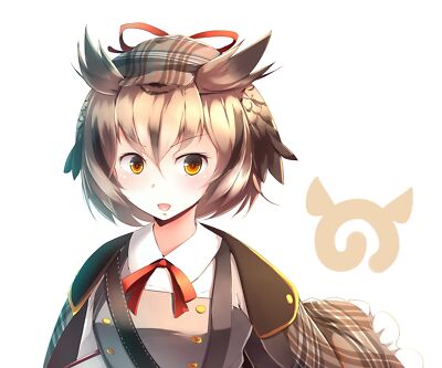Anime kemono friends  eurasian eagle Playmat Gaming Mat