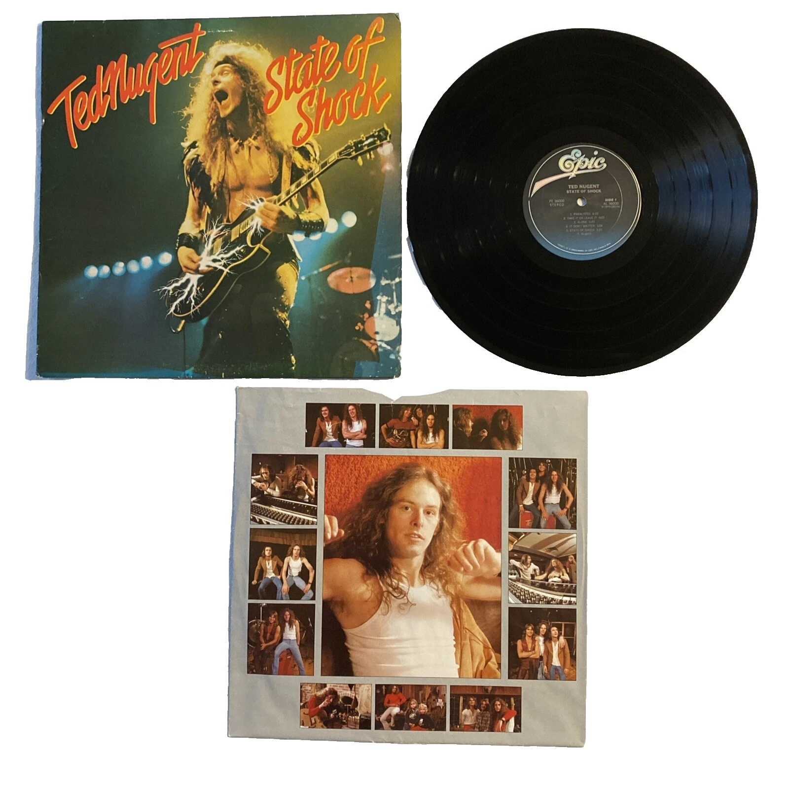 Ted Nugent Very Good (VG) Sleeve Grading 33 RPM Speed Vinyl Records