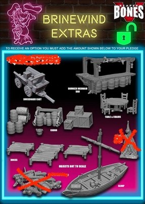 Reaper Bones V/5 Kickstarter Brinewind Extras Accessories, Missing 2 Figures D&D