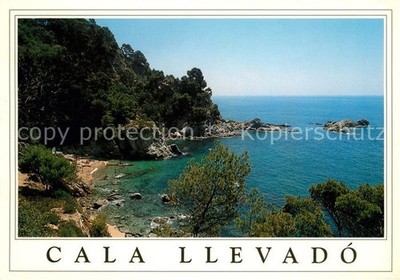 Tossa de Mar Camping Cala Llevado