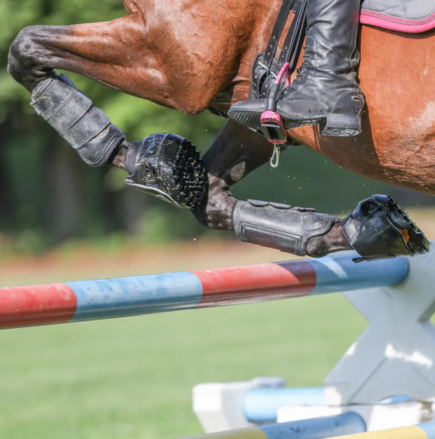 New Equinavia Equine Fusion Active Jogging Hoof Boot Pair Color Black !!