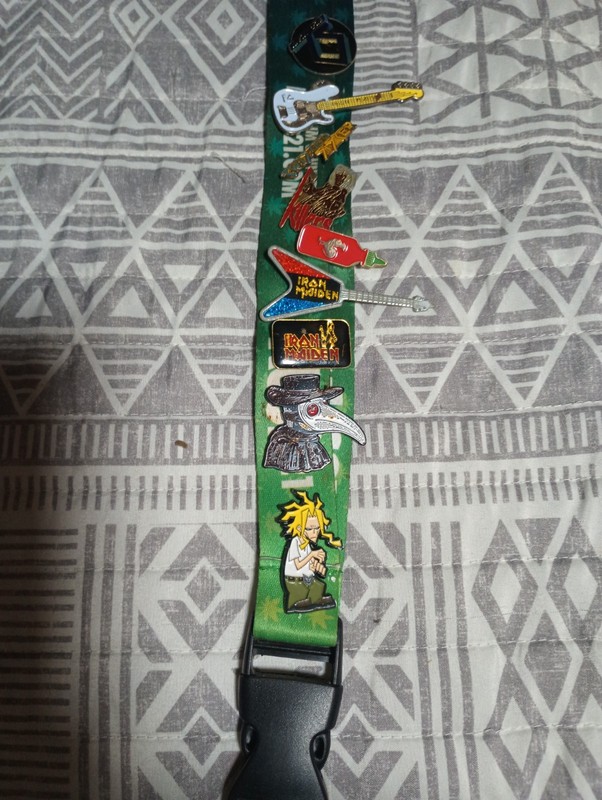 Enamel Pins Collection. Iron Maiden, Killers, Twisted Sister