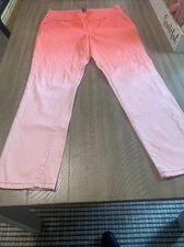 Jag Jeans Women's Amelia Pull-On Slim Fit Ankle Jean Riviera Size 8 Long Pants