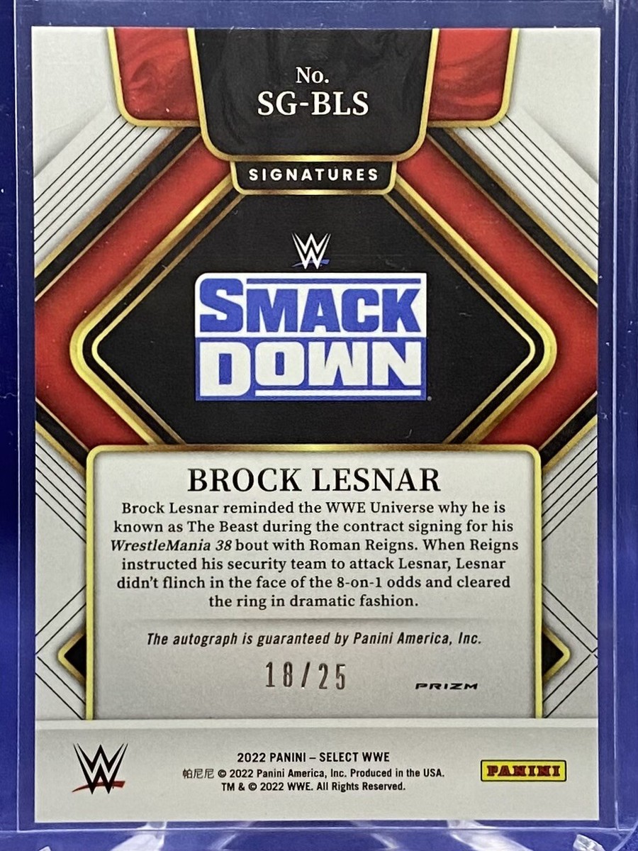 WWE PANINI PAIGE 25シリサインTie-Dyeカード