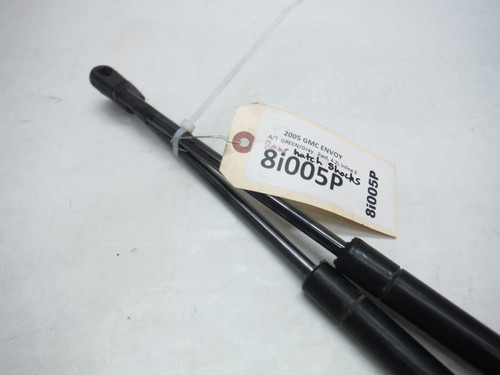 2005 GMC ENVOY A/T REAR HATCH LIFT GATE SHOCK PAIR OEM 2006 2007 2008 2009 - 第 9/10 張圖片