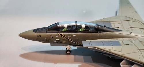 U.S. NAVY F-14 (FINAL CRUISE) "VF-103 JOLLY ROGERS" 1:100 SCALE METAL MODEL - Picture 3 of 21