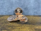 5 Qty 1 Oz Pure .999 Copper Rounds 1909 S VDB Lincoln Wheat Cent