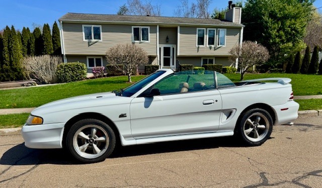 1995 Ford Mustang for sale in New Haven Connecticut
