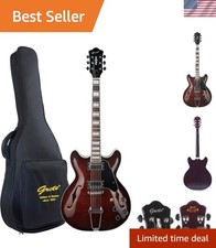 Eco-Friendly Brown Semi-Hollow Electric Guitar Rosewood Fretboard Gig Bag