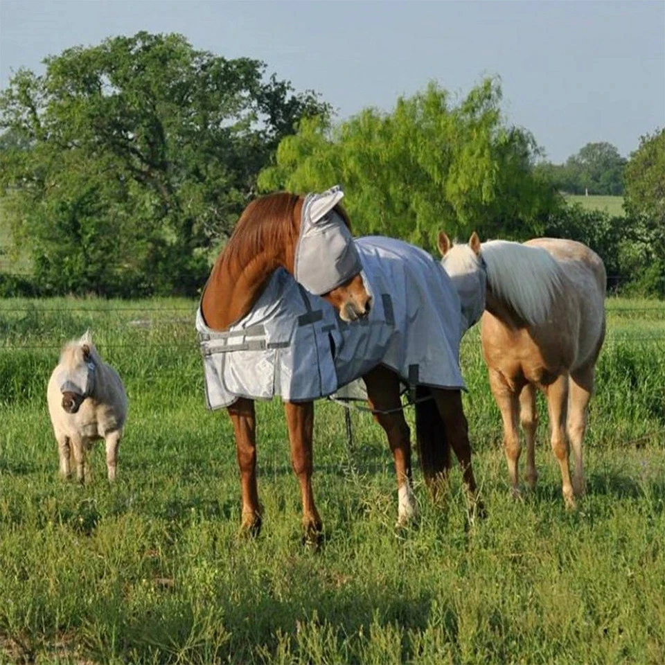 CASHEL Cruzado Caballo/Árabe Máscara Protectora Mosca con Orejas, Gris Foto 3 de 4