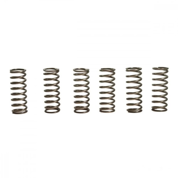 Kupplungsfeder VerstäRkt (6Stk) EBC CSK133 FüR BMW G 650 Xcountry Bj. 2008-2010-image