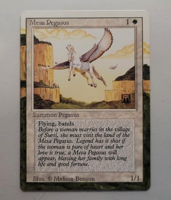 MTG Magic the Gathering, Mesa Pegasus, Hand Painted Alter, Extended Art