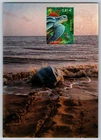 2002 French Turtle FDC Maxi Card