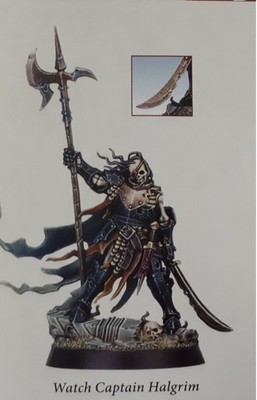 Watch Captain Halgrim - Cursed City | Warhammer Quest | Age of Sigmar AOS