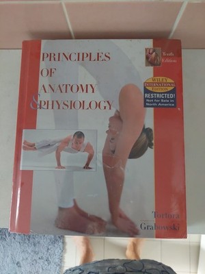 Grundsätze Der Anatomie Und Physiologie, Organisation Of The Human B