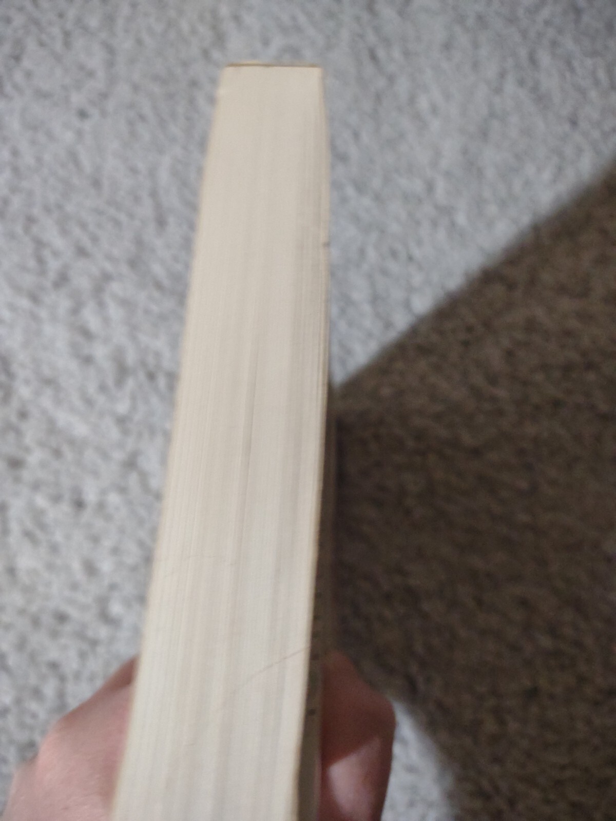 Picture 6 of 10