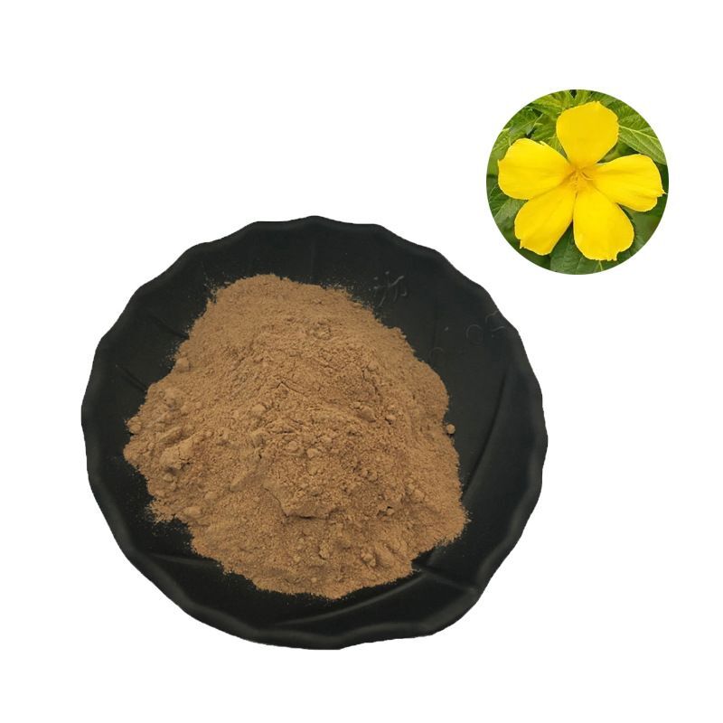 Extracto de Damiana Hierbas Concentrado Memoria Cerebro Enfoque Energía