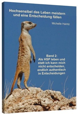 Hochsensibel das Leben meistern und eine Entscheidung fällen ... 9783943729771