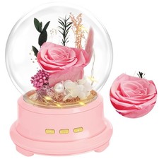 Preserved Flower Rose Gifts for Women, Birthday for Mom Wife Grandma, Glass R...