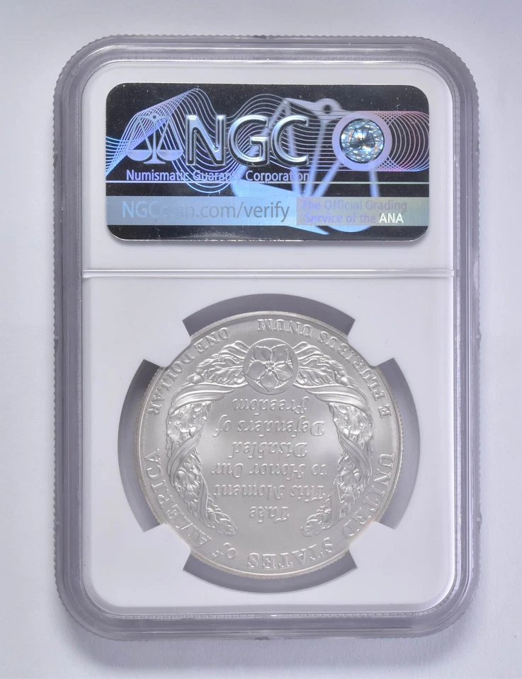 MS70 2010-W Disabled Veterans Commemorative Silver Dollar $1 NGC Brown Lbl *6428 - Image 2 of 4