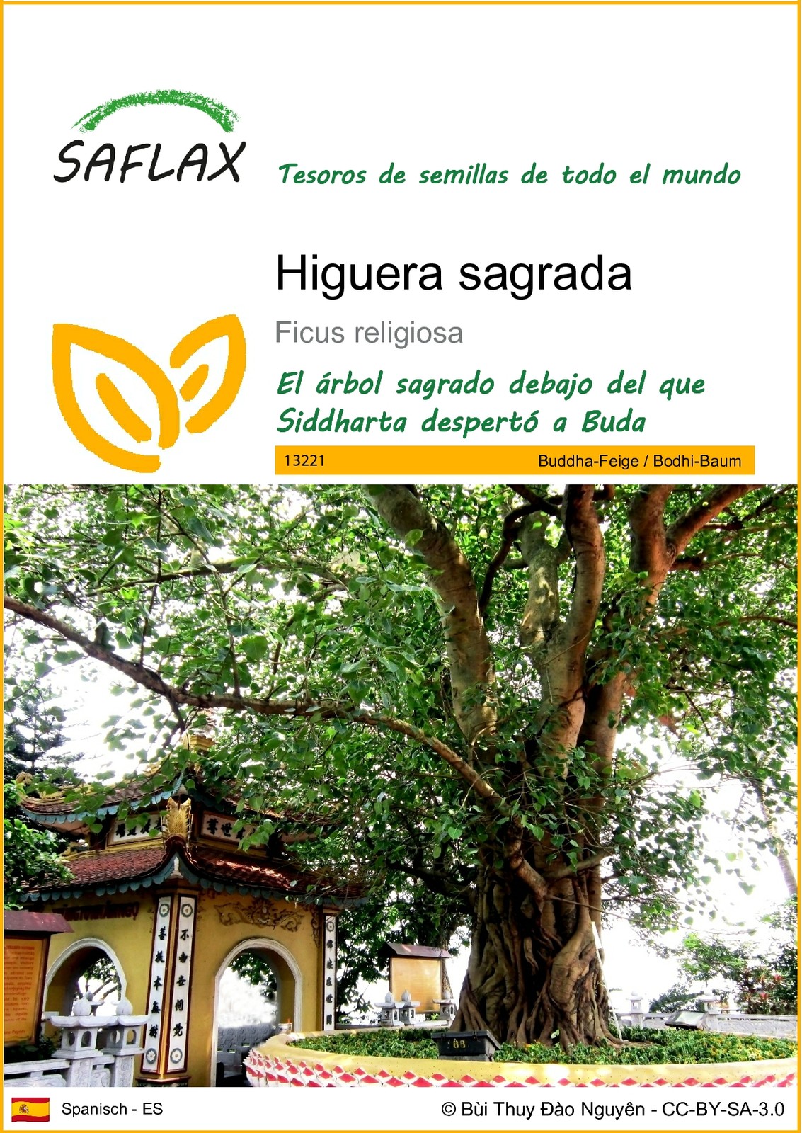Imagen 1 de 9