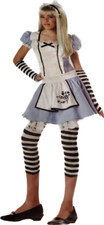 5pc Alice in Wonderland Wig Dress Looking Glass Halloween Costume Tween XL 12-14
