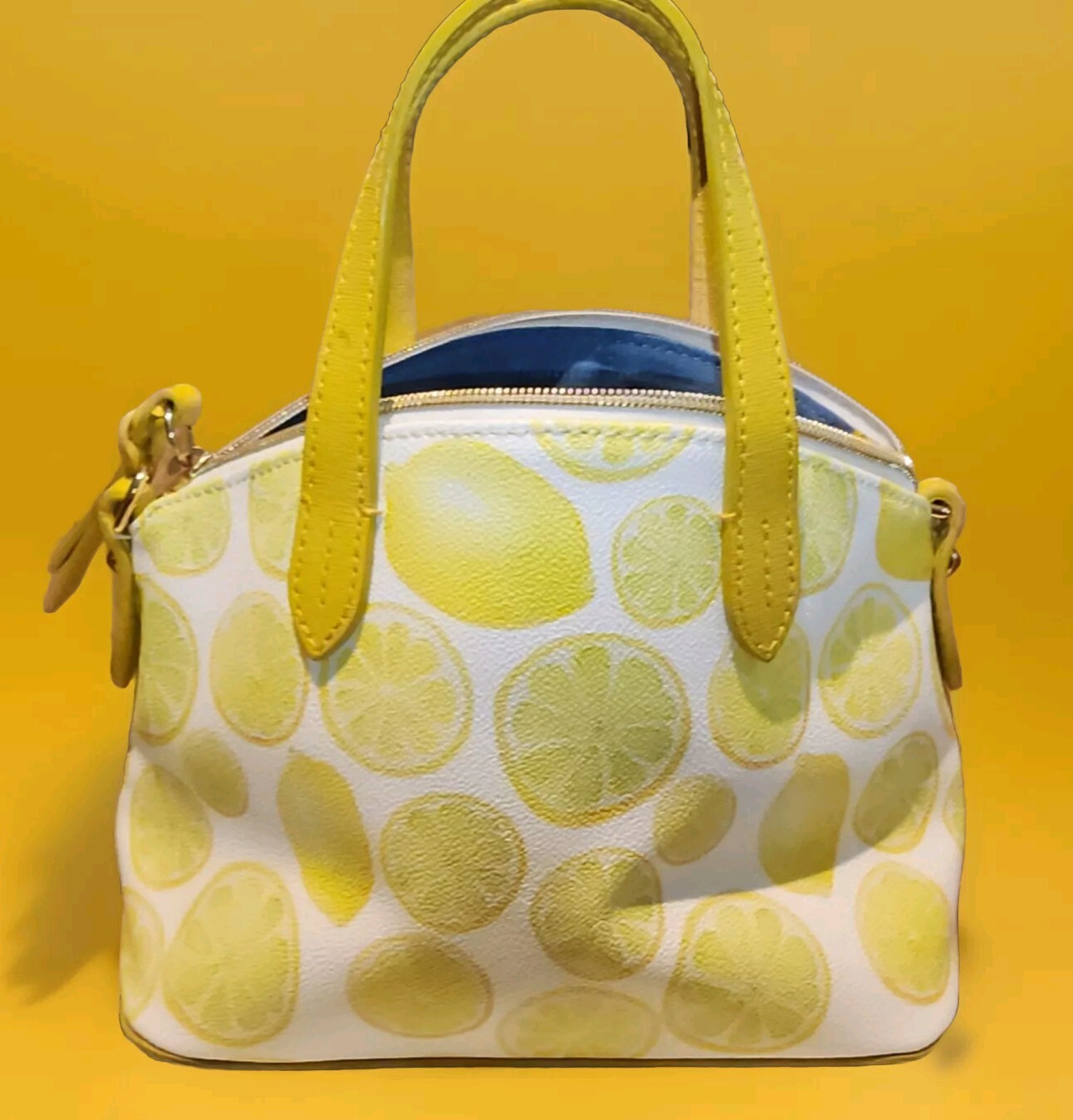 Dooney Bourke Limone Ruby Bitsy Bag - image 2