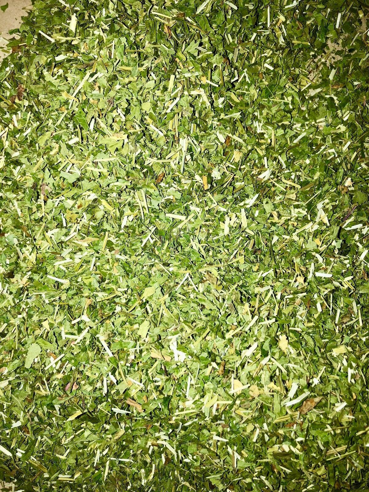 Quality Mad Dog Weed Blue Skullcap Leaf (Certified Organic) eBay