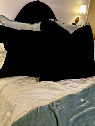 2 Bella Notte Black Velvet Euro Shams