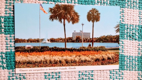VINTAGE POSTKARTE BLUMEN IM SCHÖNEN ORLANDO FLORIDA. - Bild 10 von 14