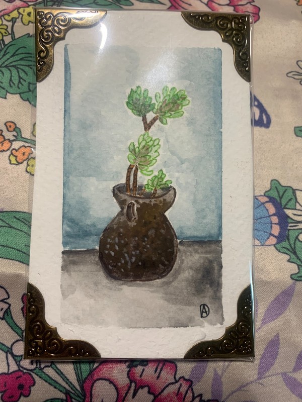 aceo original watercolor painting jade plant, 4X 2.5 inches, signed and numbered