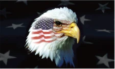 American Eagle USA 3'X5' Flag ROUGH TEX® 100D