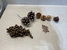 Pine Cones, Grapes And A Seashell For Crafts And Decorating