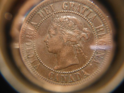 1886 Large One Cent - Obverse # 2 ***** VF - Picture 14 of 14