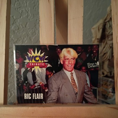 1995 CARDZ WCW Main Event Ric Flair #76 wrestling card