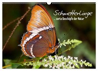 Calendar 2027 · US Version · Butterflies - Delicate Creatures Of Nature (Wall Ca