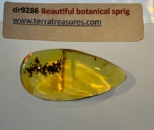 A101 DR9286 Beautiful Botanical Sprig in Authentic Dominican Amber