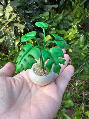 Miniature clay monstera in a ceramic pot | eBay