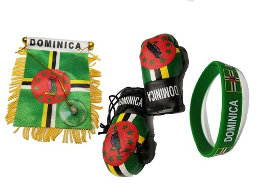 Car Flag Jamaica Jamaican Banner Flag Car Rearview Mirror Car Boxing Glove ( 2pc) Island E Mini Yard Flags - Foto 5