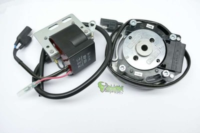 PVL complete analog System for Maico thu 250 1978-2000 Stator 4000 Winches