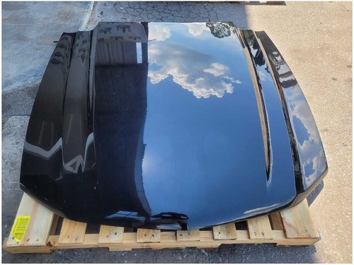 2010-2012 Ford Mustang GT Front Hood Shell Bonnett Paint UA 2885