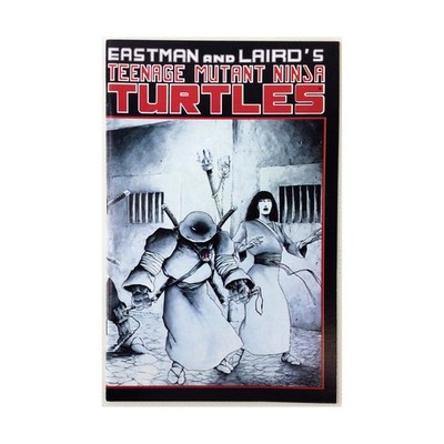 Mirage Studios TMNT Teenage Mutant Ninja Turtles #17 EX