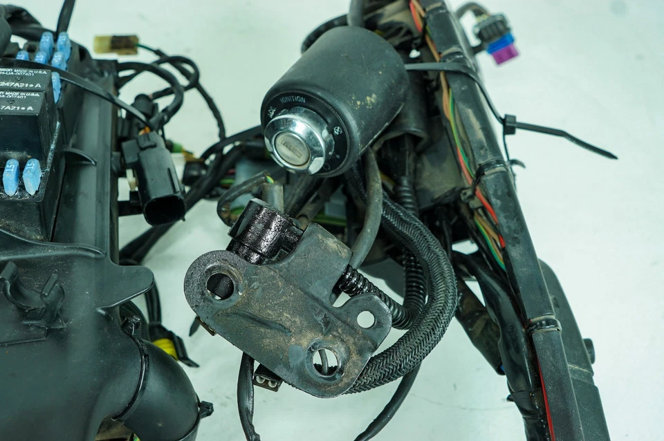 07 Harley Sportster Custom 883 Arnés de cable principal Telar Interruptor de encendido NOKey 1352 Foto 3 de 4