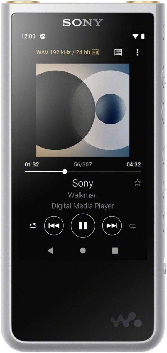 Sony NW-ZX507 Walkman Hi-Res 64GB MP3 Player Portable Digital
