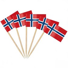 AhfuLife Norway Flag Toothpick Flags for World Cup Decorations 100,