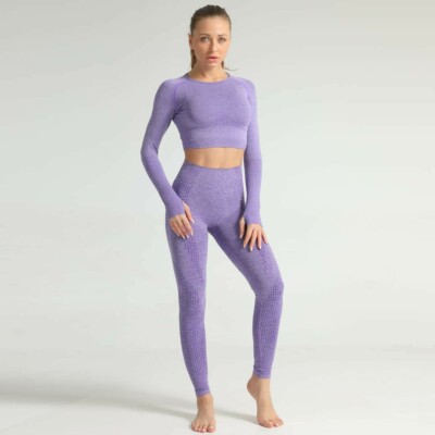 Damen Yogawear Schleppteil Set Reine Farbe Leggings Langarm Tops Auf Lager 