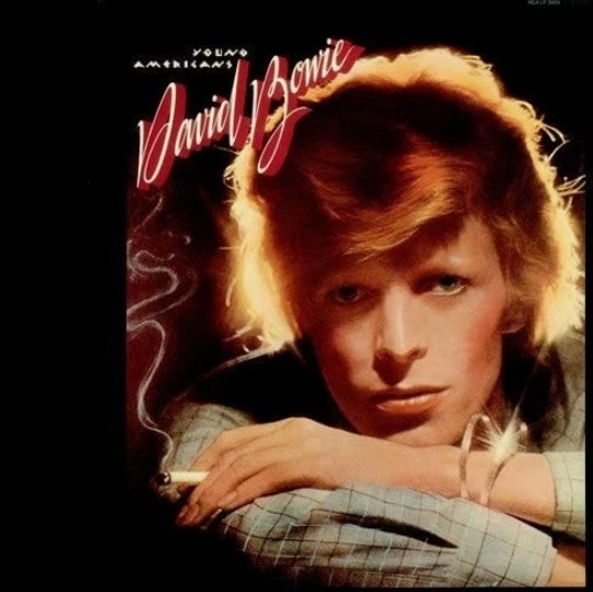 Las mejores ofertas en David BOWIE bajo LP | eBay