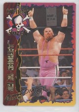 1995 Action Packed WWF Jim Neidhart Jim The Anvil Neidhart #27 1i8