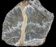 Fiederpyrit / Federpyrit - Grube Pfaffenberg, Neudorf, Harz