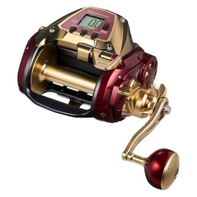 Daiwa 24 SEABORG G1200M Electric Reel | eBay